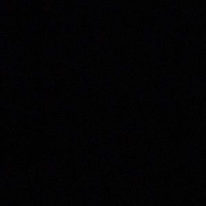 Meet your Posher, Harrison